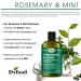 Difeel Rosemary Mint Strengthening Shampoo with Biotin 12 oz. | Natural Rosemary Oil, Sulfate-Free, Promotes Hair Growth - Buy Online on GoSupps.com