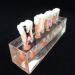 Dental Teeth Model for Endodontic Treatment - 4-Stage Teaching Aid for Studying Internationally - Buy Online on GoSupps.com