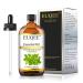 EUQEE Oregano Essential Oil 118ml Pure Essential Oils Natural Oregano Oil Essential Oils for Diffusers for Home Aromatherapy Relax Oregano 118.00 ml (Pack of 1)