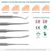 Blizzard Premium Double-Ended Tool Kit | Stainless Steel Files Cleaners & Lifters for Ingrown Toenail Care International Shipping - Buy Online on GoSupps.com