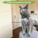 MC-Royal Premium Cat Dishes - Adjustable Sizes & Leash Included | Break-Proof Cat Dishes & Harness for XS Cats - Shop Internationally! - Buy Online on GoSupps.com