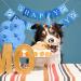 NiCoLa Boy Dog Birthday Party Supplies - Dog Birthday Hat, Banner, Bandana, Latex Balloons | Ages 1-10 Blue Decorations - Buy Online on GoSupps.com