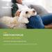 NaturVet No Scoot for Dogs with Pumpkin - Supports Anal Gland & Bowel Health - 120 Soft Chews - Buy Online on GoSupps.com