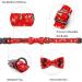 Buy Lionheart Glory Christmas Dog Hall Band - Adjustable Soft Loop Collars for Small Dogs | Red Dog Loop Collar for Boys & Girls - Buy Online on GoSupps.com