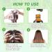 Rosemary Oil for Hair Growth & Skin Care -60ml 100% Pure Rosemary Essential Oil for Eyebrow and Eyelash Nourishes The Scalp Stimulates Hair Growth for Men Women - Buy Online on GoSupps.com