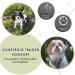 Eyin Dog Harness with Seat Belt for Car - Adjustable Breathable 2 Carabiner Hooks - Perfect for Child Safety Seats & Trunk (Gray S) - Buy Online on GoSupps.com