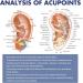Buy Ear Seed Set & Acupressure Stickers | Multi-State Ear Acupuncture Tools for Face Reflex Massage - Fast International Shipping - Buy Online on GoSupps.com
