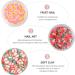 SOLUSTRE Fruit Clay for Nails Nail Fruit Slices Fruit Clay Making Supply DIY Fruit Nail Decorations Tropical Nail Art for Girl Women Home Nail Decorations - Buy Online on GoSupps.com