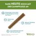 Whimzees by Wellness Stix - Natural Grain-Free Dental Care Snacks for Large Dogs 7 Pieces (420g) | Premium Couch Sticks - Buy Online on GoSupps.com