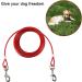 Artilife 30FT Dog Stakes Dog Leash Ground Anchor Tie Out Cable and 16.5" Anti Rust Stake for Small to Medium Dog Up to 100Lbs in Weight in Outdoor Yard and Camping - Buy Online on GoSupps.com