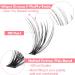 Ruairie 200 Pcs CD Curl Wispy Eyelash Clusters DIY Extensions Individual Lashes 8-16MM Black - Buy Online on GoSupps.com