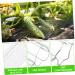 SUPVOX 4pcs Fruit Vegetables Shaping Pentagram Planting Star Accessories Plangting Plastic Mould Mold - Buy Online on GoSupps.com
