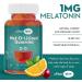 Melatonin Gummies for Kids - 1mg Chewable Supplement - 60 Count for Restful Sleep - Children and Adult Melatonin Gummies - Pack of 1 - Buy Online on GoSupps.com