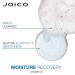 Joico Moisture Recovery Shampoo for Thick, Coarse, Dry Hair - 10.1 oz | Replenish Moisture, Restore Smoothness & Elasticity | With Jojoba Oil & Shea Butter - Buy Online on GoSupps.com