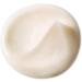 L'Or al Paris Age Perfect Cell Renaissance Night Cream Anti-Ageing Deep Care Strength and Vitality for Mature Skin with Black Truffle and Fermented Black Tea 50 ml - Buy Online on GoSupps.com