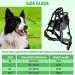Dog Muzzle Large Breed Adjustable Basket Muzzle for Large Dogs Allows Panting and Drinking Humane Cage Dog Muzzles Prevent Biting Barking and Chewing Perfect for Grooming and Training L - Buy Online on GoSupps.com
