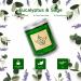 LA BELLEF E Scented Eucalyptus & Sage Candles | Soy Candles for Home & Gifts | Aromatherapy Stress Relief Decor - Buy Online on GoSupps.com