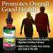 Nature's Answer Dandelion Root Extract 2 Fl Oz | Organic Alcohol | Liver Support & Healthy Digestion - Buy Online on GoSupps.com