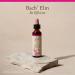 Bach Original Flower Remedies Elm - Be Efficient - Natural Homeopathic Flower Essence for Emotional Balance - Vegan Gluten Free Sugar Free - 20mL Dropper - Buy Online on GoSupps.com