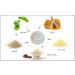 RAYA Almond Honey Facial Scrub | Natural Exfoliating Scrub for Glowing Skin | Polishes & Softens Non-Blemished Complexion - Shop Internationally - Buy Online on GoSupps.com
