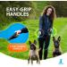 Dual Dog Leash with Bungee Extension - Reflective Leash for Large & Medium Dogs | Blue-Green Color | Ideal for Walking Two Dogs - Buy Online on GoSupps.com
