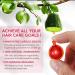 BULUBIU Hair Treatment Serum - Avocado Macadamia & Argan Oil - Ultimate Conditioner for All Hair Types - Vitamins A C E & B5 - Buy Online on GoSupps.com
