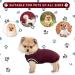Warm & Cozy Dog Sweater | Winter Coats for Small Medium & Large Dogs | Soft Knitted Pet Outfits for Cold Weather - Buy Online on GoSupps.com