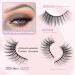 Oreola 14 Pairs Cat Eye Lashes - Natural Wispies & 3D Crossed False Eyelashes Set - Buy Online on GoSupps.com