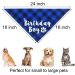 JOTFA Dog Birthday Party Supplies  Plaid Dog Birthday Boy Bandanas with Dog Birthday Party Hat Bow Tie Birthday Number for Small Medium Large Dogs Pets (Blue  Bandana & Hat & Bow Tie & Number) Bandana & Hat & Bow Tie & Number Blue - Buy Online on GoSupps.com