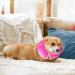 YQkangzhu Inflatable Dog Collar Pet Neck Donut Cone Collar Soft Protective Recovery Collar for Dogs and Cats Anti Licking Cones for Pet Injured Surgery Adjustable E Collar Does not Block Vision(M) - Buy Online on GoSupps.com