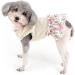 Zunea Floral Dog Dress for Small Dogs | Summer Princess Puppy Dress | Cute Fancy Skirt for Female Pups | Chihuahua Yorkie Apparel Beige - Buy Online on GoSupps.com