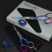 Suvorna 5.5 Multicolour Hairdressing Scissors - Professional Barber Hair Cutting Scissors for Men, Women & Kids - Right Hand - Sharp Blades - Buy Online on GoSupps.com