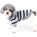 Zweitea Dog Shirts for Small Dogs - Summer Striped T-Shirt Soft Cotton Puppy Clothes Heart Sweatshirt for Chihuahuas Gray XL - Buy Online on GoSupps.com