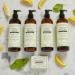 Pharmacopia Verbena Shampoo 16 oz - Vegan, Cruelty Free, Organic Ingredients | Aromatherapy Hair Care - No Parabens or Sulfates - Buy Online on GoSupps.com