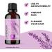 Premium Lavender Essential Oil for Hair, Skin, and Nails - Aromatherapy for Diffusers, Humidifiers, and Linens - Natural Bath Oil for Home Spa Self Care - Buy Online on GoSupps.com