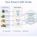 Ritual Labs Liver Support - Plant-Based Wellness Support for Daily Balance - Gentle Botanical Formula for Everyday Use Clean Lifestyle Blend - Simple & Minimal Ingredients - 60 Count 1 - Buy Online on GoSupps.com