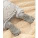 Love To Dream Sleep Suit Warm | 3 Years | Built-in Quilt | Long Sleeves Design | Wearable Blanket 18 Months | Daydream Grey - Buy Online on GoSupps.com
