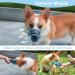 Mayerzon Adjustable Dog Muzzle - Breathable & Comfortable for Small Medium Large Dogs - Ideal for Biting Barking & Chewing (Blue Size S) - Buy Online on GoSupps.com
