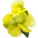 Hula Girl Hibiscus Flower Hair Clips - 12 Pack, Assorted Colors, Perfect for Events & Decor - Buy Online on GoSupps.com