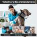 Kuoser Dog Protective Collar - Adjustable Comfy Cone for Post-Surgery Leak Protection Breathable Elisabethane - Ideal for Dogs & Cats - Black Medium - Buy Online on GoSupps.com