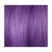 Splat Midnight Violet 30 Wash Semi-Permanent Hair Dye | Vegan & Cruelty-Free - Buy Online on GoSupps.com