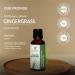 Buy 100% Pure Gingergrass Essential Oil - Cymbopogon Martinii Var Sofia - Therapeutic Grade Natural & Undiluted - 500ml (16.90 Fl.Oz) for Aromatherapy & Home Use - Buy Online on GoSupps.com