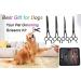 Dream Reach Professional 7.0 Inches Dog Grooming Scissors Kit Cutting Curved Scissors Thinning Shears Grooming Pet Hair Trimming Scissors Set for Dogs and Cats (4-set) - Buy Online on GoSupps.com