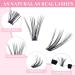 BELEVO 240 Individual Eyelashes Cluster Lashes Kit Natural D Curl Fluffy Lash Clusters DIY Eyelash Clusters Extensions at Home Reusable 30D+40D 11-16MM - Buy Online on GoSupps.com
