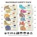 GoMacro MacroBar Organic Vegan Protein Bars Variety Pack - 12 Count (2.0-2.4 oz Bars) - Buy Online on GoSupps.com