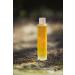  Exotic Oil Organic Golden Jojoba Oil - Ecocert and Cosmos Organic Certified - Cold Pressed - Organic Jojoba Oil - 100% Pure - For Body Face and Hair - Luxury Soft Touch Bottle (50 ml) - Buy Online on GoSupps.com