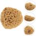 Healeved Honeycomb Bath Ball - Exfoliating Tool & Shower Accessory for Ultimate Clean & Relaxation - Buy Online on GoSupps.com