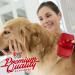 Professional Pet Grooming Kit with Self Cleaning Slicker Brush for Dogs & Cats | Reduces Shedding Fur | Includes Pet Hair Remover Gloves | Combo Gift Set - Buy Online on GoSupps.com