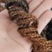 Goddess Curly Box Braids Crochet Hair 3X Wavy 18 Inch 1B/30 - Pack of 6 | Synthetic Fiber Braiding Hair Extension for Black Women - Buy Online on GoSupps.com