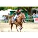 Equine Synergy 'Movin' and Groovin' JOINT COOKIES with TURMERIC to Help Improve Mobility- - Buy Online on GoSupps.com